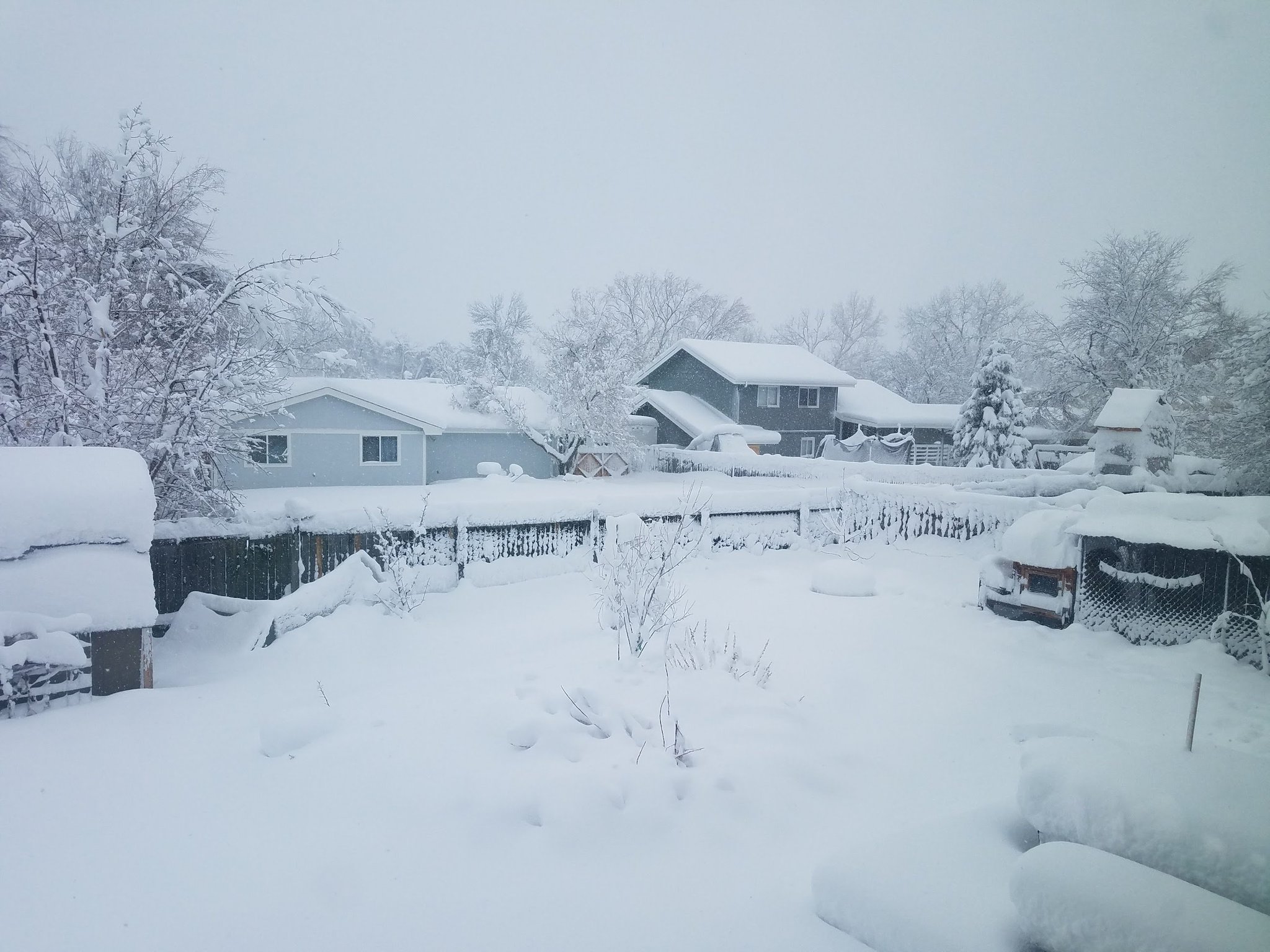 colorado springs snow storm 2021 It Is Interesting Microblog Portrait